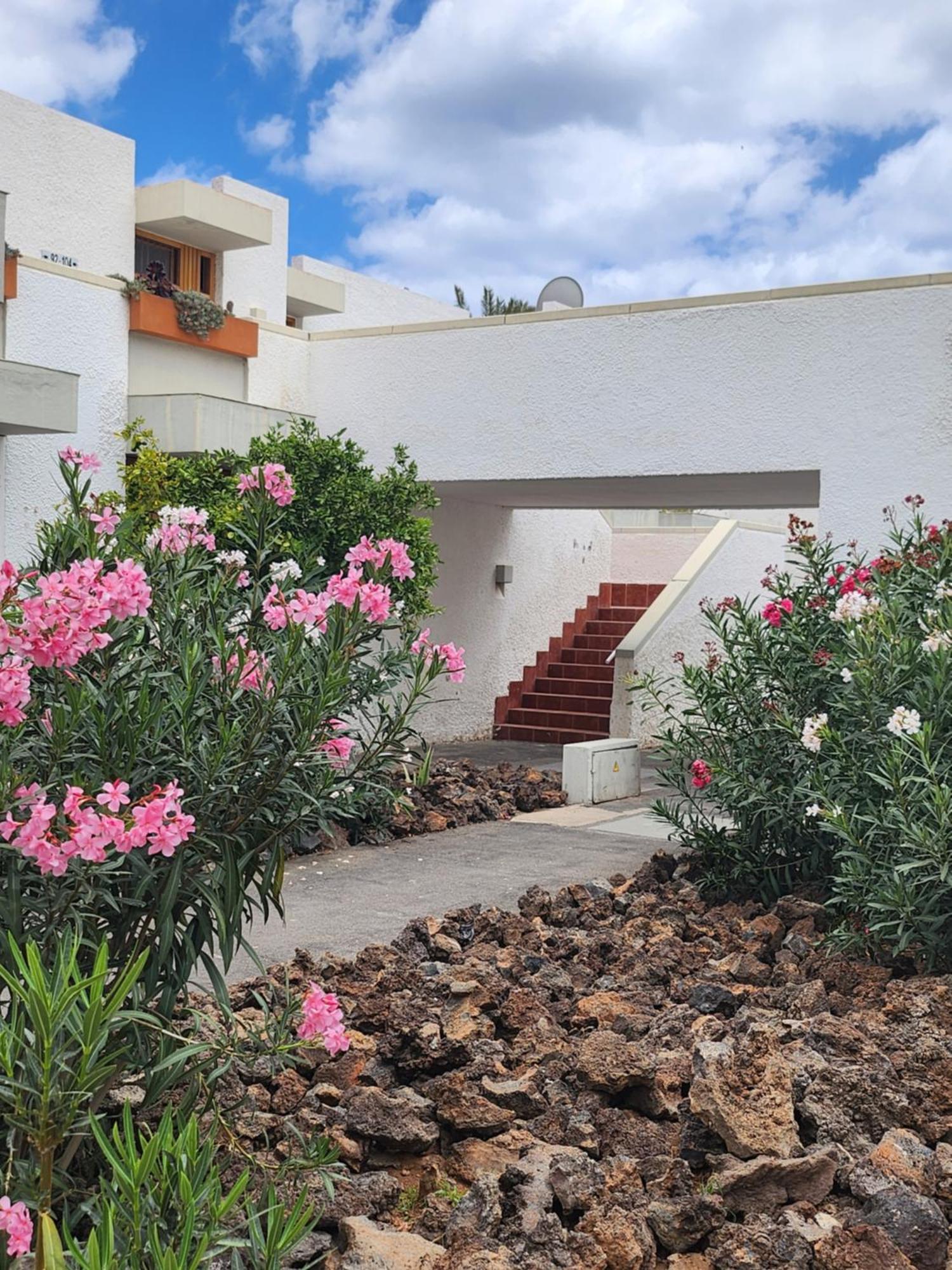 Tenerife Sunshine South Apartment Beach By La Ballena อาโรนา ภายนอก รูปภาพ