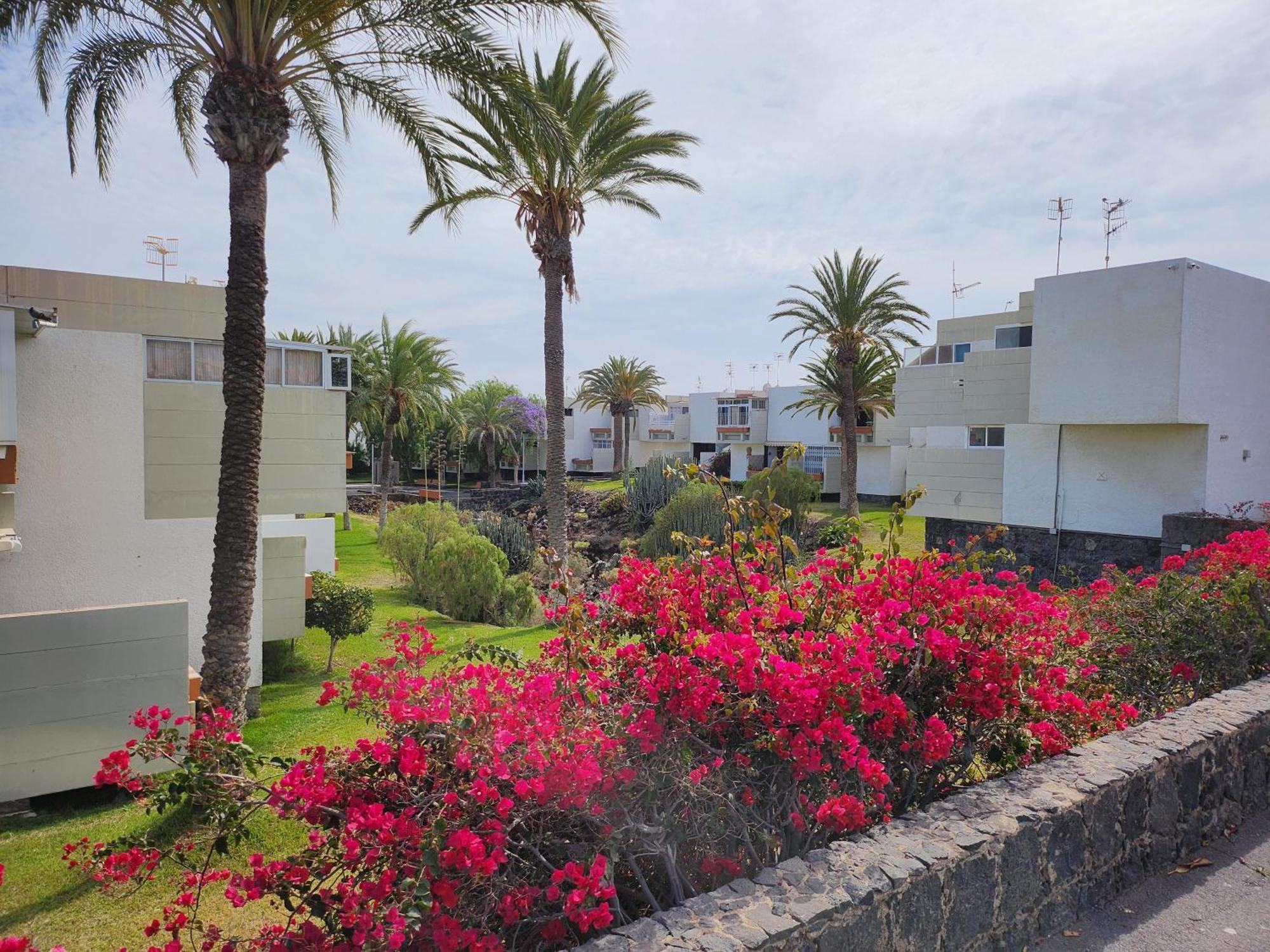 Tenerife Sunshine South Apartment Beach By La Ballena อาโรนา ภายนอก รูปภาพ